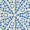 5 fold symmetry